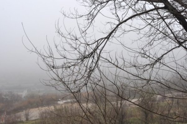 Circulaţie în condiţii de ceaţă, în mai multe judeţe